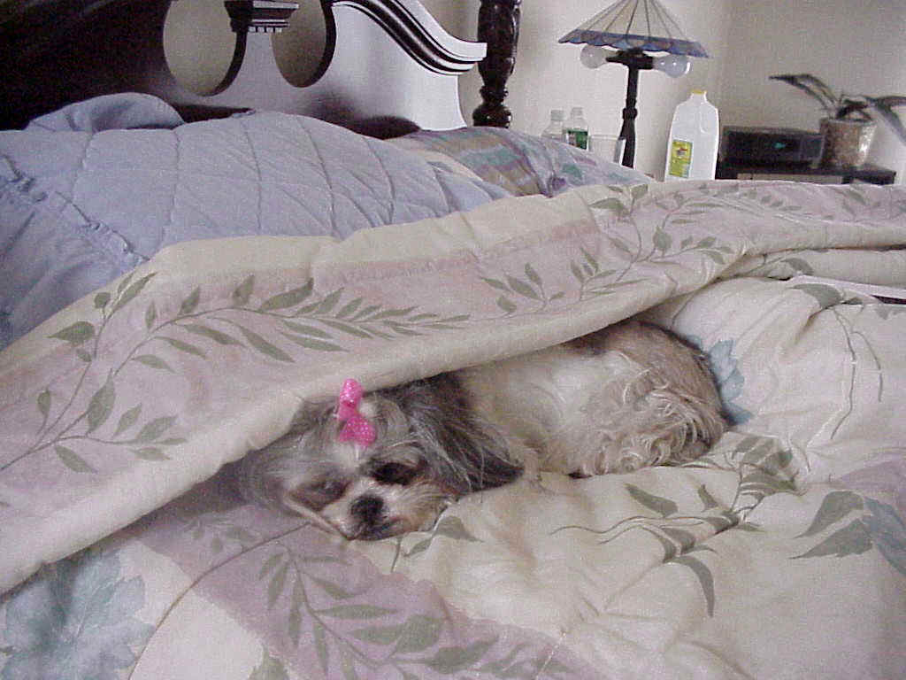 haptodaymay6.jpg (308364 bytes)
